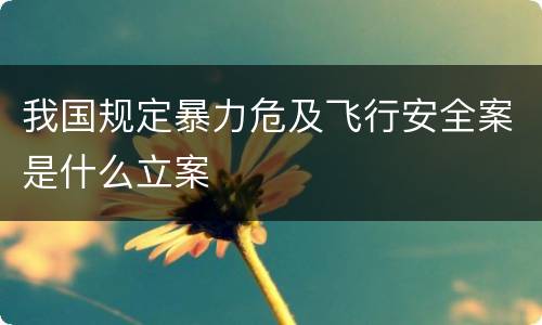 我国规定暴力危及飞行安全案是什么立案
