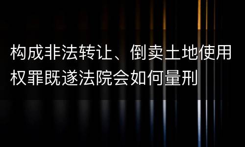 构成非法转让、倒卖土地使用权罪既遂法院会如何量刑