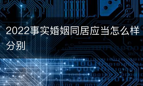 2022事实婚姻同居应当怎么样分别
