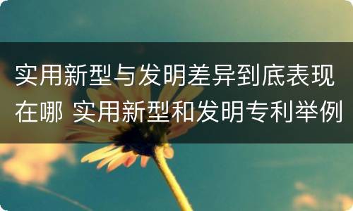 实用新型与发明差异到底表现在哪 实用新型和发明专利举例