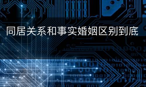 同居关系和事实婚姻区别到底