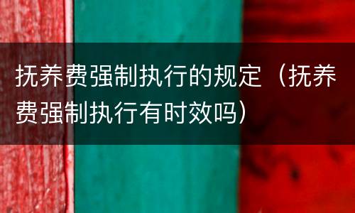 抚养费强制执行的规定（抚养费强制执行有时效吗）