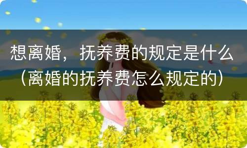 想离婚，抚养费的规定是什么（离婚的抚养费怎么规定的）