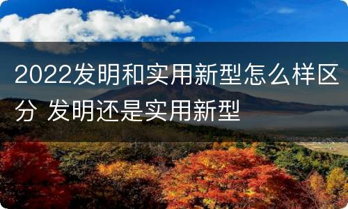 2022发明和实用新型怎么样区分 发明还是实用新型