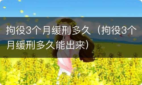拘役3个月缓刑多久（拘役3个月缓刑多久能出来）