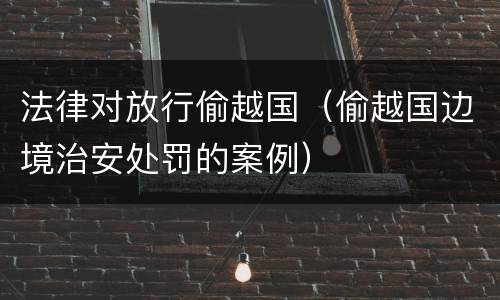 法律对放行偷越国（偷越国边境治安处罚的案例）
