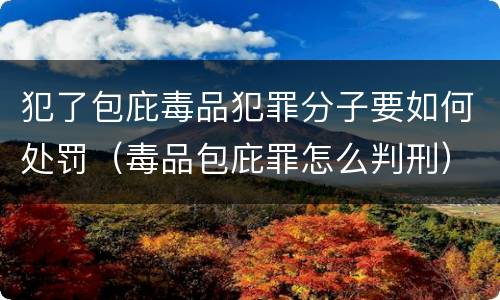 犯了包庇毒品犯罪分子要如何处罚（毒品包庇罪怎么判刑）