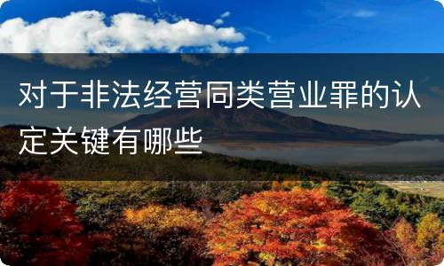 对于非法经营同类营业罪的认定关键有哪些
