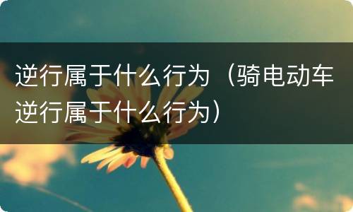 逆行属于什么行为（骑电动车逆行属于什么行为）