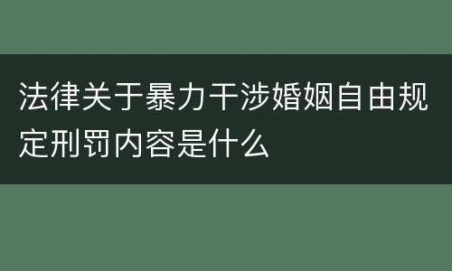 法律关于暴力干涉婚姻自由规定刑罚内容是什么