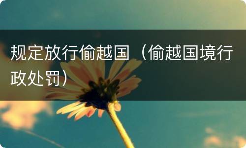规定放行偷越国（偷越国境行政处罚）
