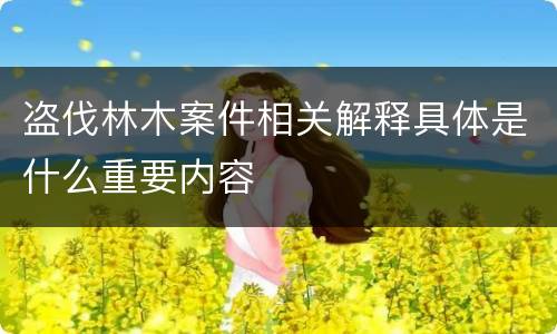 盗伐林木案件相关解释具体是什么重要内容