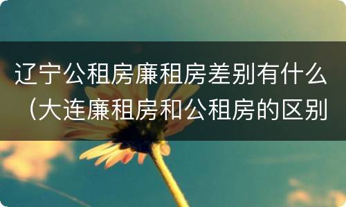 辽宁公租房廉租房差别有什么（大连廉租房和公租房的区别）