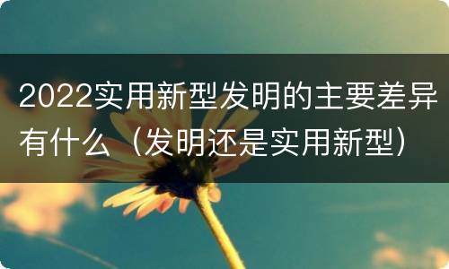 2022实用新型发明的主要差异有什么（发明还是实用新型）