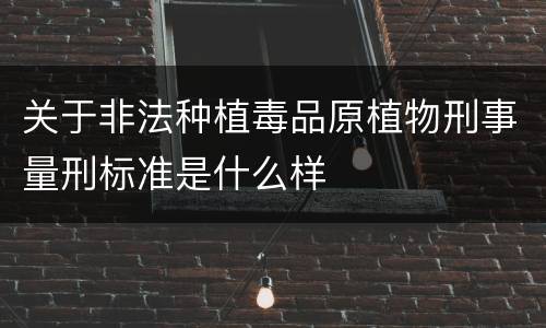 关于非法种植毒品原植物刑事量刑标准是什么样