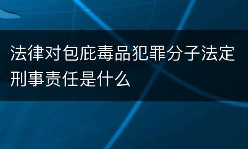 法律对包庇毒品犯罪分子法定刑事责任是什么