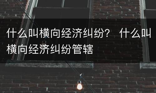 什么叫横向经济纠纷？ 什么叫横向经济纠纷管辖