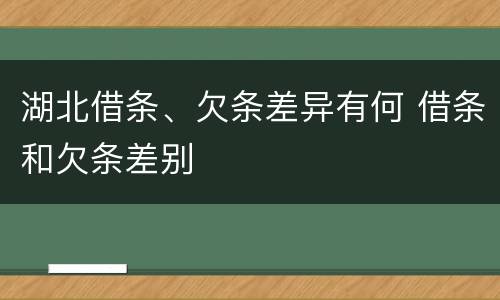 湖北借条、欠条差异有何 借条和欠条差别