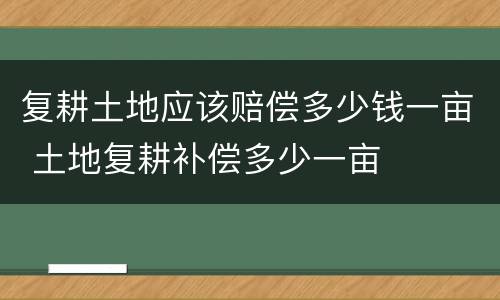 复耕土地应该赔偿多少钱一亩 土地复耕补偿多少一亩