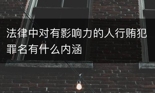 法律中对有影响力的人行贿犯罪名有什么内涵