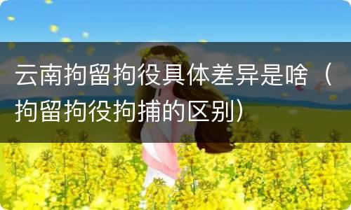 云南拘留拘役具体差异是啥（拘留拘役拘捕的区别）