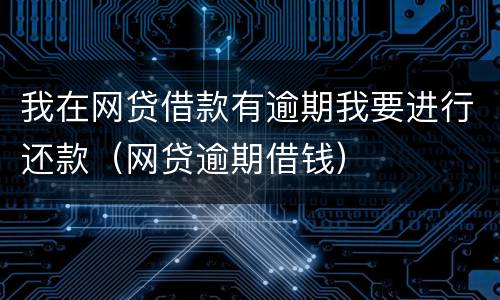 我在网贷借款有逾期我要进行还款（网贷逾期借钱）