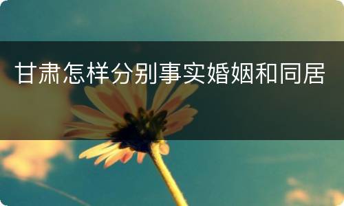 甘肃怎样分别事实婚姻和同居