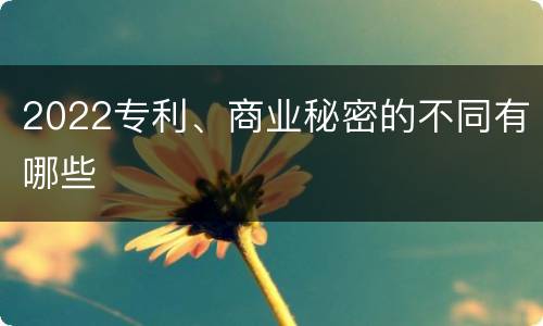 2022专利、商业秘密的不同有哪些