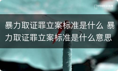 暴力取证罪立案标准是什么 暴力取证罪立案标准是什么意思