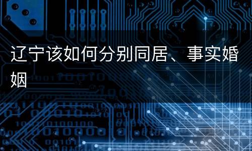 辽宁该如何分别同居、事实婚姻