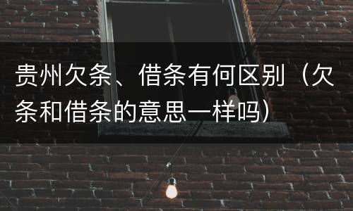 贵州欠条、借条有何区别（欠条和借条的意思一样吗）