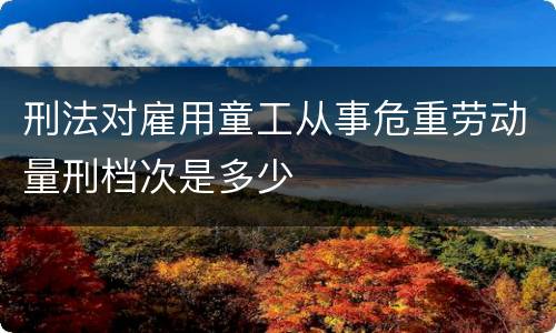 刑法对雇用童工从事危重劳动量刑档次是多少