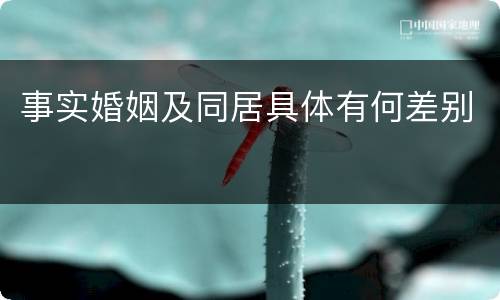 事实婚姻及同居具体有何差别