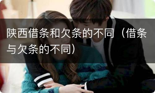 陕西借条和欠条的不同（借条与欠条的不同）