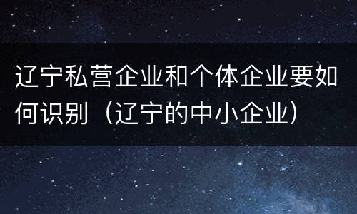 辽宁私营企业和个体企业要如何识别（辽宁的中小企业）