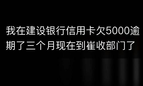 我在建设银行信用卡欠5000逾期了三个月现在到崔收部门了他们要起诉我应该怎么办