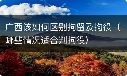 广西该如何区别拘留及拘役（哪些情况适合判拘役）