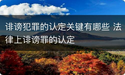 诽谤犯罪的认定关键有哪些 法律上诽谤罪的认定