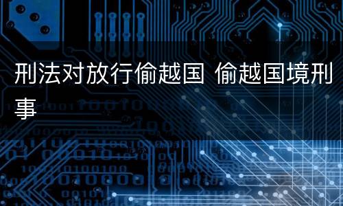 刑法对放行偷越国 偷越国境刑事