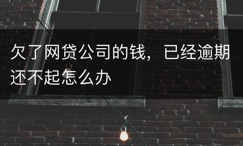 欠了网贷公司的钱，已经逾期还不起怎么办