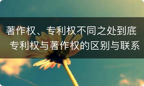 著作权、专利权不同之处到底 专利权与著作权的区别与联系