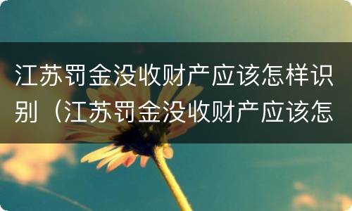 江苏罚金没收财产应该怎样识别（江苏罚金没收财产应该怎样识别案件）