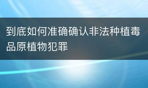 到底如何准确确认非法种植毒品原植物犯罪