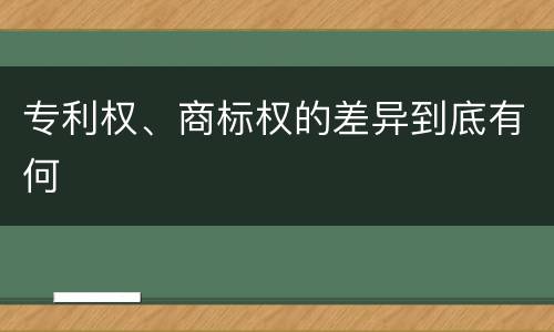 专利权、商标权的差异到底有何