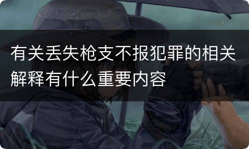 有关丢失枪支不报犯罪的相关解释有什么重要内容