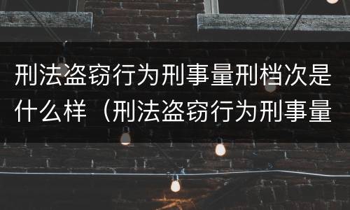 刑法盗窃行为刑事量刑档次是什么样（刑法盗窃行为刑事量刑档次是什么样的）