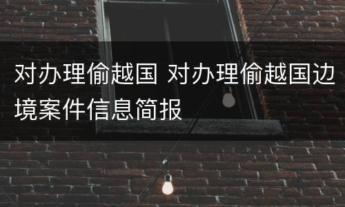 对办理偷越国 对办理偷越国边境案件信息简报