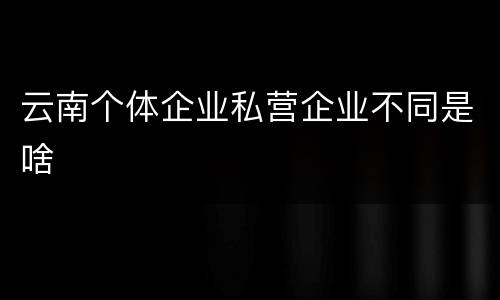 云南个体企业私营企业不同是啥