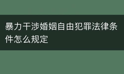 暴力干涉婚姻自由犯罪法律条件怎么规定