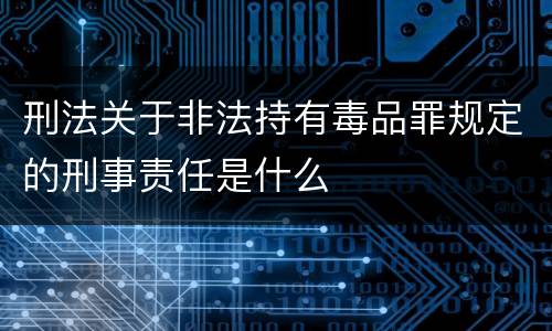 刑法关于非法持有毒品罪规定的刑事责任是什么